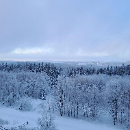 Ferienwohnung Skadi, Hahnenklee ゴスラー エクステリア 写真