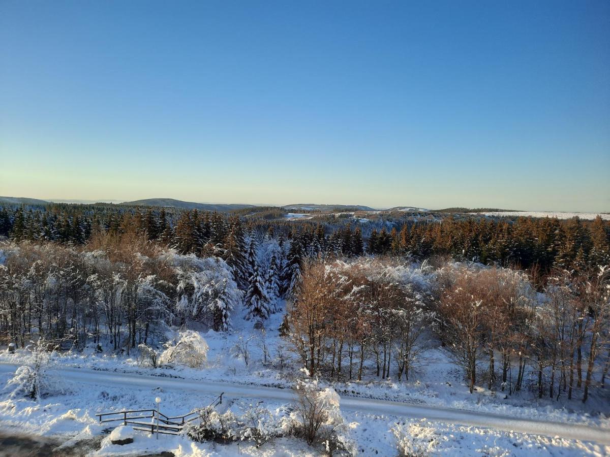 Ferienwohnung Skadi, Hahnenklee ゴスラー エクステリア 写真