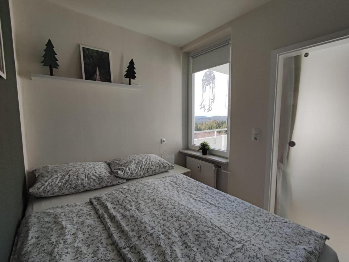 Ferienwohnung Skadi, Hahnenklee ゴスラー エクステリア 写真