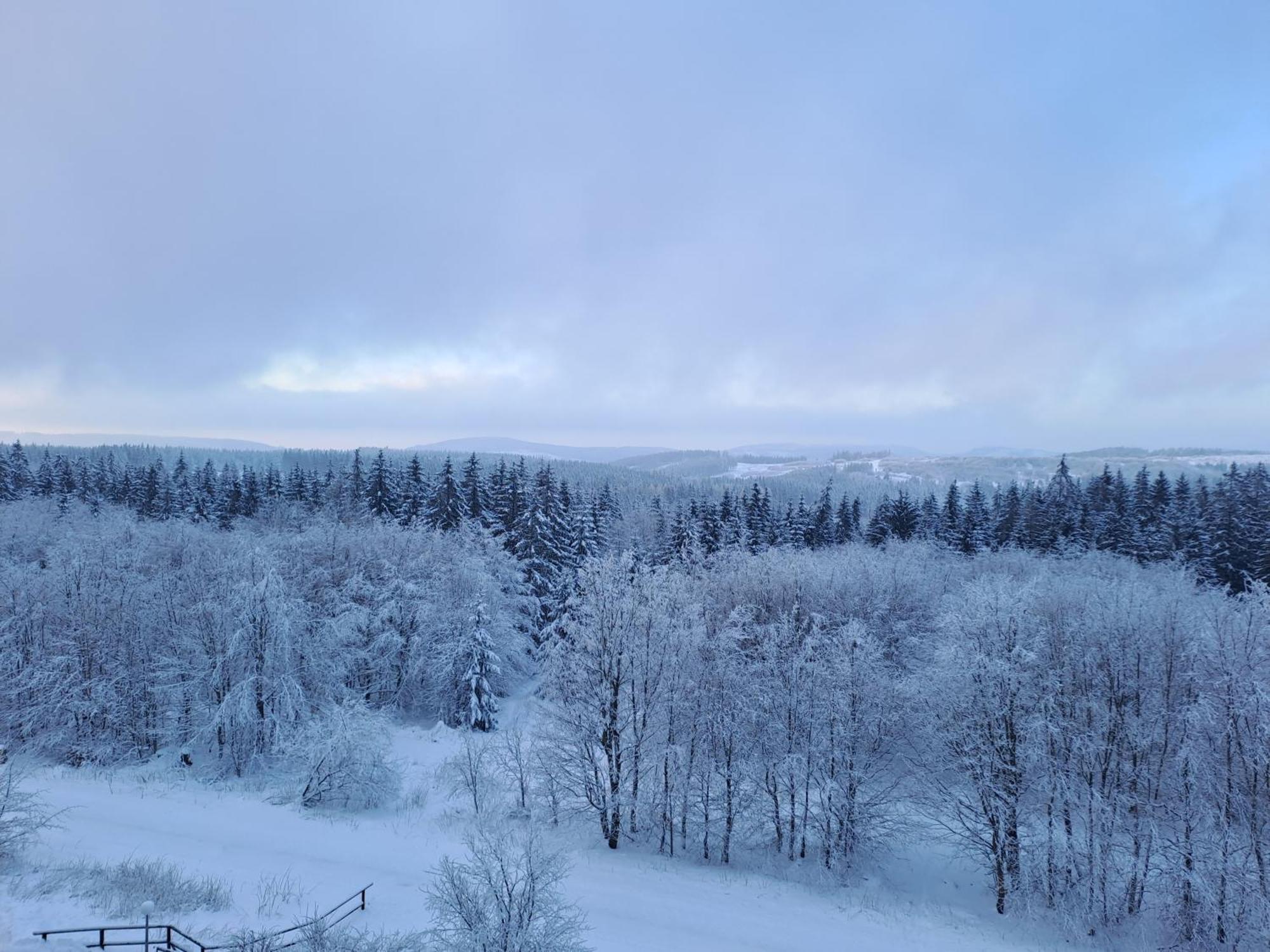 Ferienwohnung Skadi, Hahnenklee ゴスラー エクステリア 写真