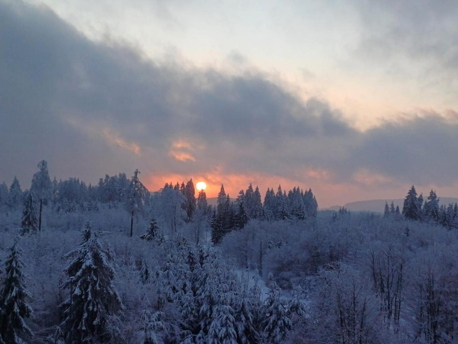 Ferienwohnung Skadi, Hahnenklee ゴスラー エクステリア 写真